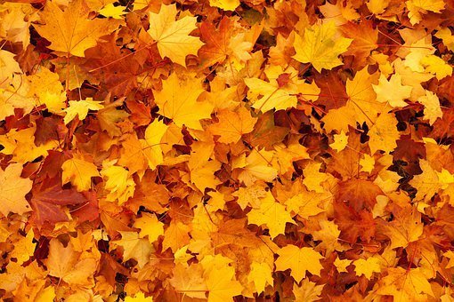Es wird Herbst: Viele Wolken über Rheinland-Pfalz und dem Saarland