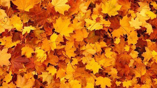 Es wird Herbst: Viele Wolken über Rheinland-Pfalz und dem Saarland