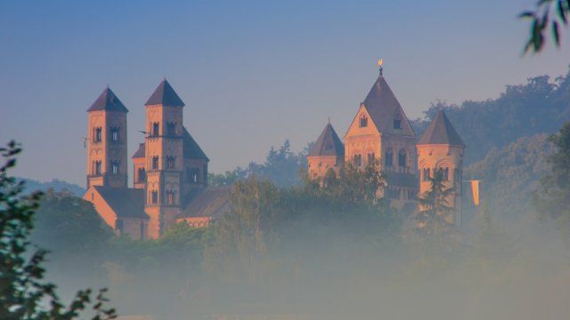  Naturschutz am Laacher See geht in die nächste Runde