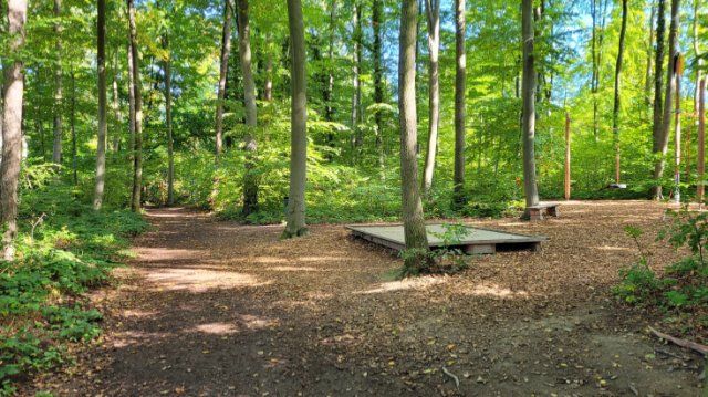 Rundweg im Lahnsteiner Kinderheilwald wird befestigt 