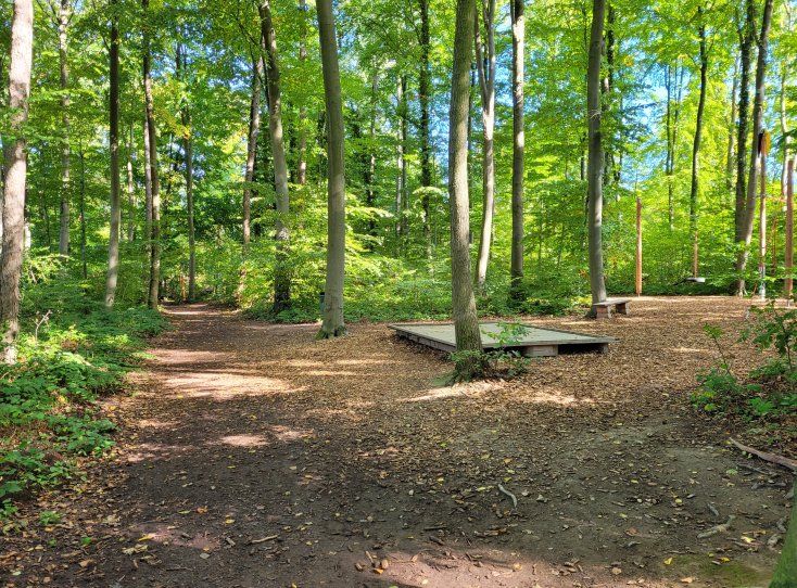 Rundweg im Lahnsteiner Kinderheilwald wird befestigt 