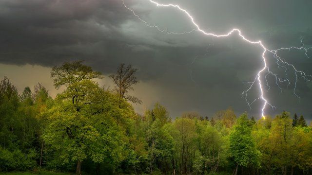 Regen und Gewitter in Rheinland-Pfalz