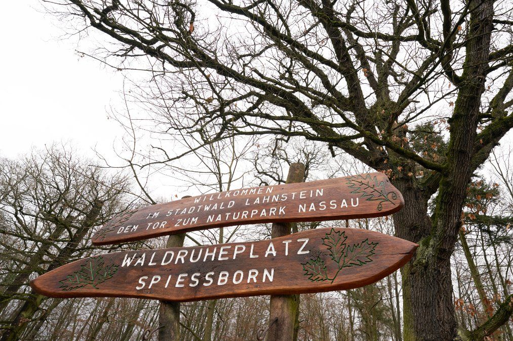 Lahnstein: Kur- und Heilwälder sind neue Chancen für Gesundheitstourismus 