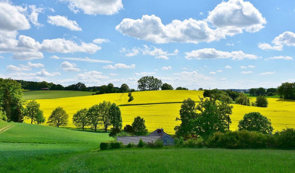 Wechselhaftes Wetter am Wochenende in Rheinland-Pfalz Wechselhaftes Wetter am Wochenende in Rheinland-Pfalz