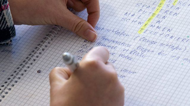 8500 Menschen aus Ukraine in Rheinland-Pfalz in Integrationskursen