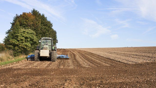 Ministerium: Kein Agrarland-Verkauf in größerem Stil an Investoren
