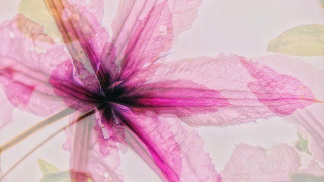 Ausstellung des Fotoclubs Andernach