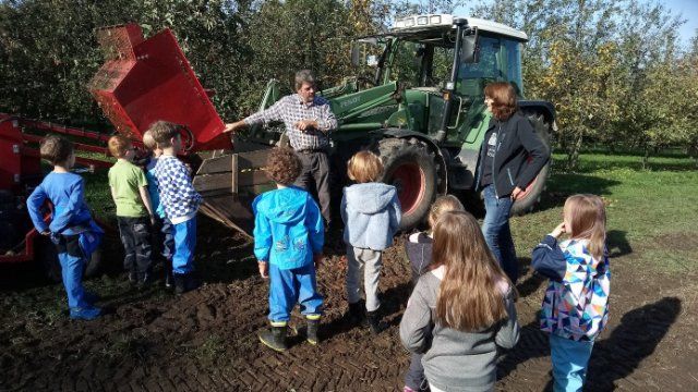 Hortkinder der Kita „Arche Noah“  bei der Apfelernte