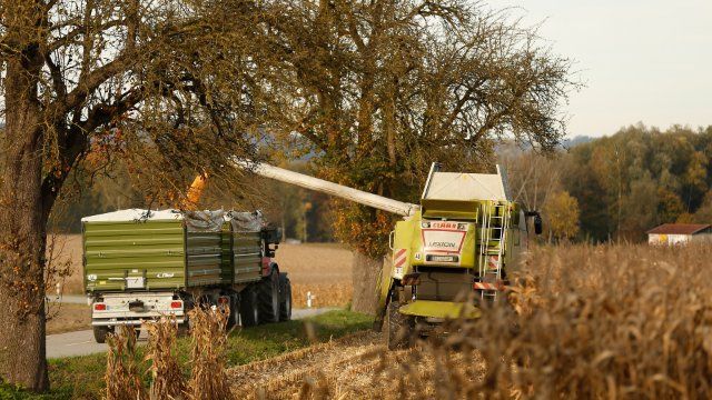 Eineinhalb Milliarden Euro für Landwirtschaft in Rheinland-Pfalz