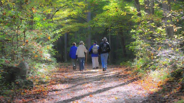 Blutwurstwandertag in Ulmen