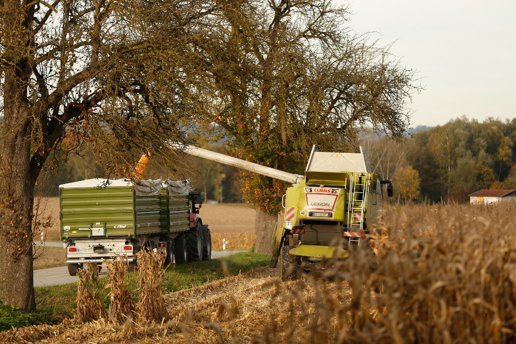 Eineinhalb Milliarden Euro für Landwirtschaft in Rheinland-Pfalz Eineinhalb Milliarden Euro für Landwirtschaft in Rheinland-Pfalz
