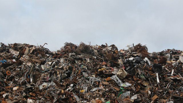 Rheinland-Pfalz will Exportverbot von Textilabfällen