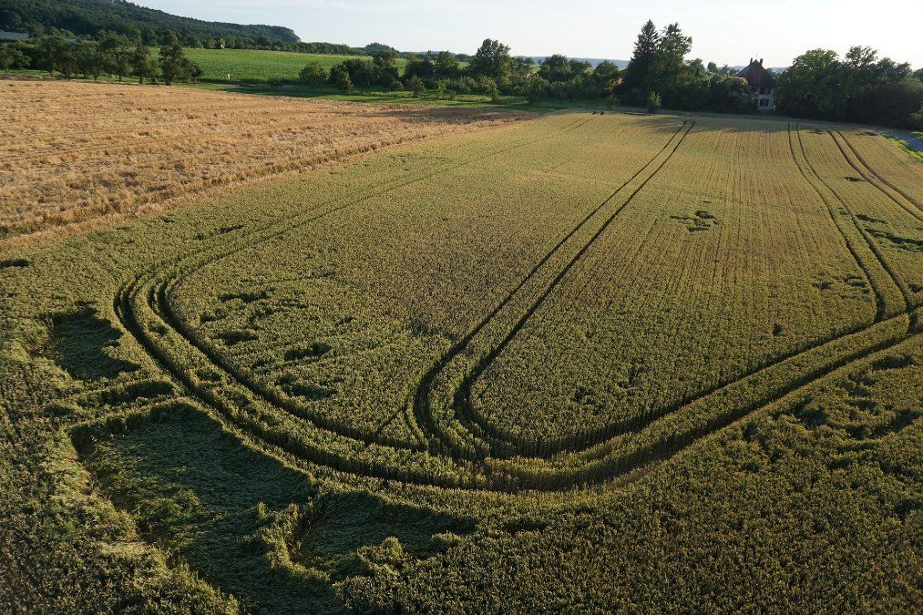 Landkreis Neuwied: Unbekannte verwüsten mit Autos Feld eines Landwirts