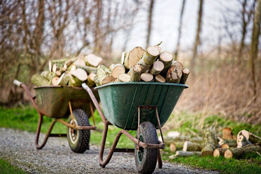 Gestiegene Preise für Brennholz fördern Holzdiebstähle