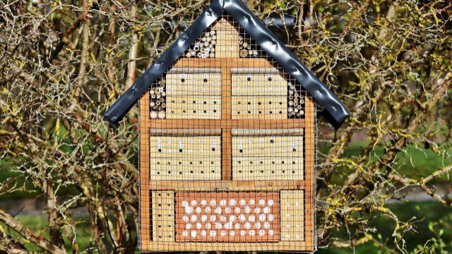 Ehrenamtsinitiative bietet Klima-Werkstatt