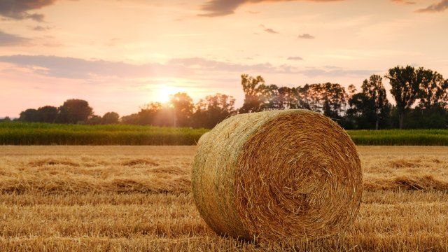188 Millionen Euro Direktzahlungen an Landwirte