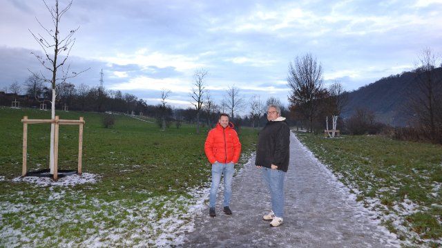 Mehr Freizeitwert für den Gülser Moselbogen