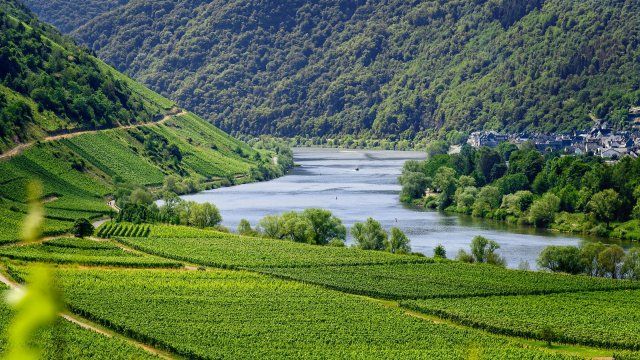 Schmitt: Tourismusregionen erhalten Mittel für regionale Potenzialanalysen