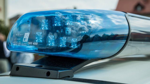 Zwei gehäutete Hundekadaver im Kreis Altenkirchen gefunden