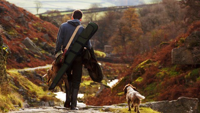 Mehr Menschen mit Jagdschein in Rheinland-Pfalz