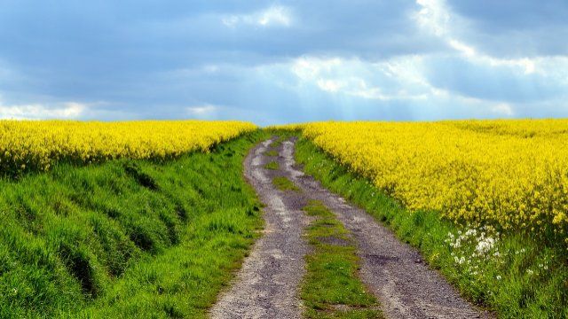 Stadt Mayen lädt zur Einwohnerversammlung ein