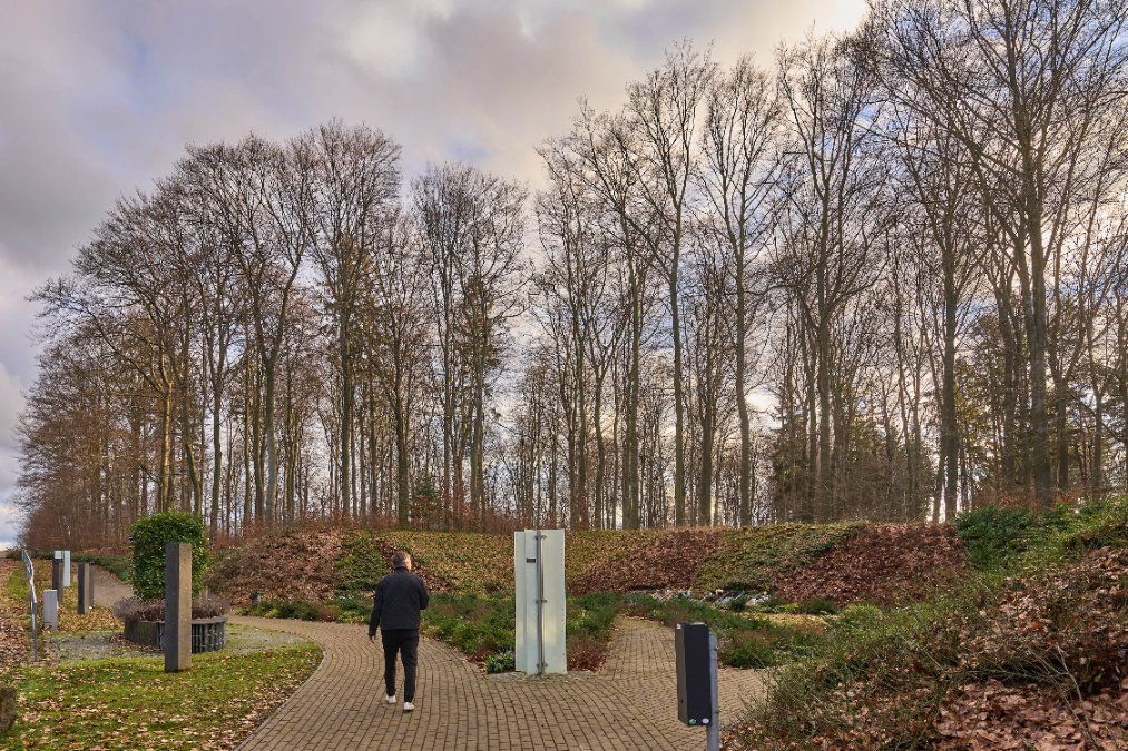 Klimawandel: Baumsterben auch in Bestattungswäldern