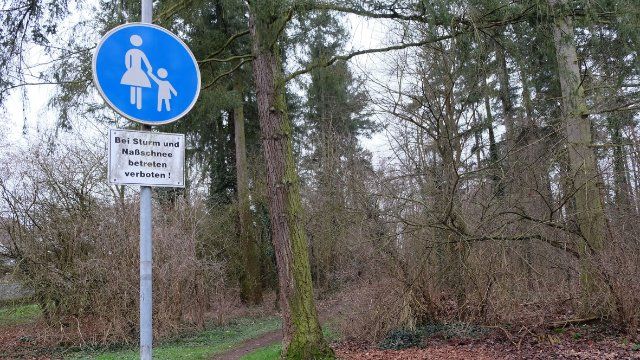 Auf dem Heddesdorfer Berg entsteht ein urbaner Wald 