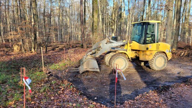 Im Lahnsteiner Kur- und Heilwald rollen wieder die Bagger