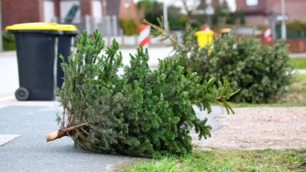Ausgediente Weihnachtsbäume werden abgeholt