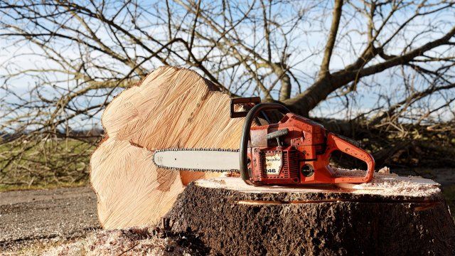 Vorbereitungen für den Ausbau der Wilhelmstraße starten