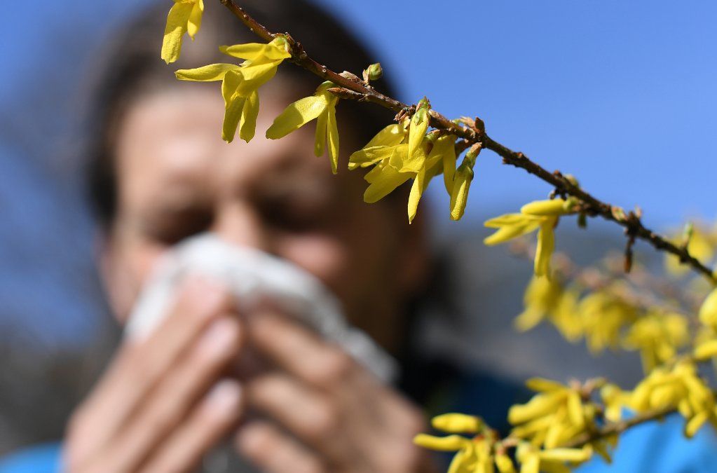 Heuschnupfensaison in Rheinland-Pfalz gestartet