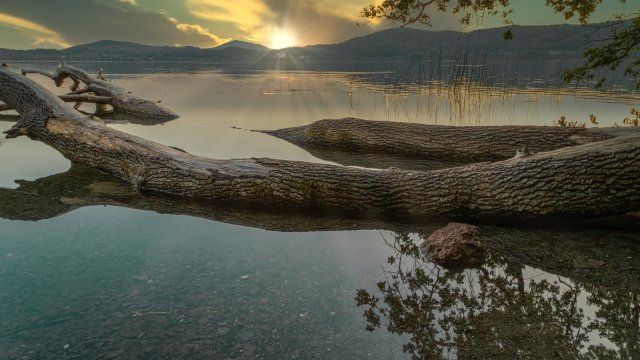 Bilanz: Winter in Rheinland-Pfalz zu warm und zu trocken