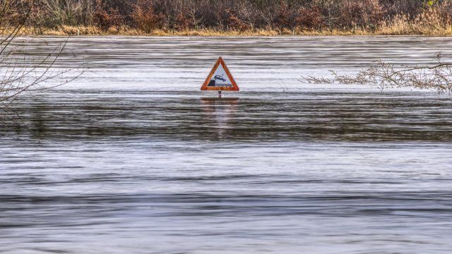 Ehemalige ADD-Vizepräsidentin verzichtet auf Rolle in Verein