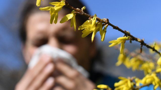 Heuschnupfensaison in Rheinland-Pfalz gestartet