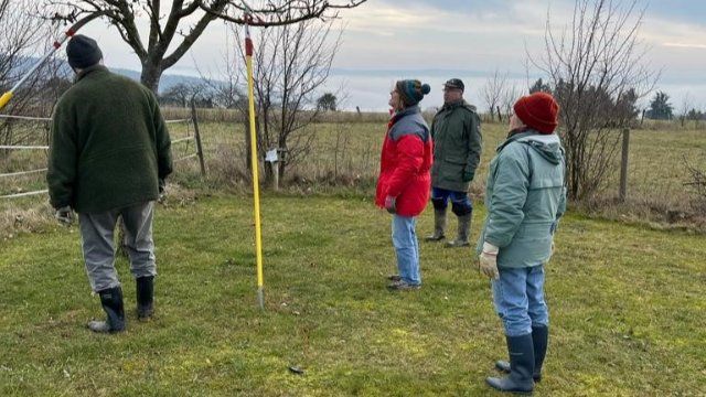 Statt Karneval: Obstbaumpflege am Schwerdonnerstag 