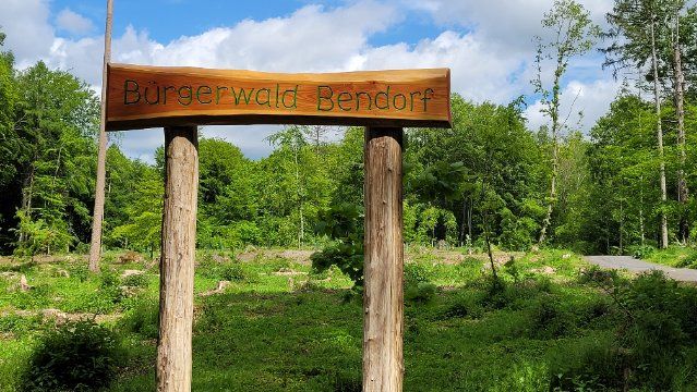 Einsatz zeigen für die Zukunft des Waldes 