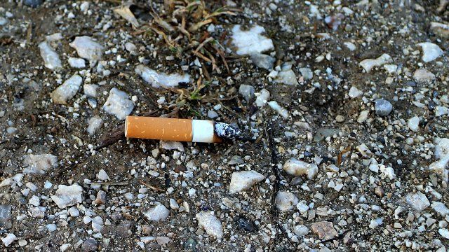 Weggeworfene Zigarettenstummel – eine Gefahr für die Umwelt