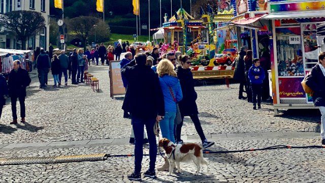 Rückblick  auf das "Frühlingserwachen" in Mayen