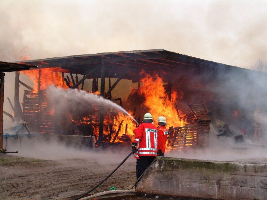Hunsrück: Tote Kälber nach Brand in landwirtschaftlichem Betrieb Hunsrück: Tote Kälber nach Brand in landwirtschaftlichem Betrieb
