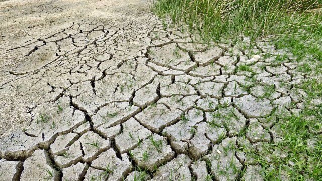 Kommunaler Klimapakt: Andernach dabei