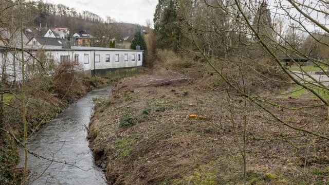 Sträucher und Bäume gefällt für naturnahen Umbau
