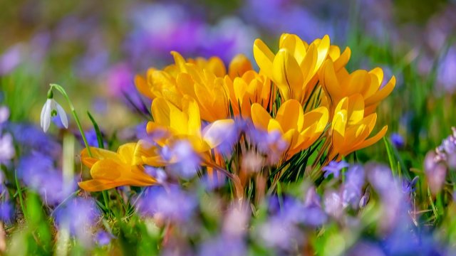 Den Frühling begrüßen in der Stadtbibliothek Neuwied