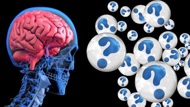 Seniorenbeirat informiert zu Alzheimer und weiteren Problemen im Alter