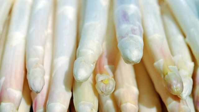 Spargelbauern rechnen mit besserer Saison