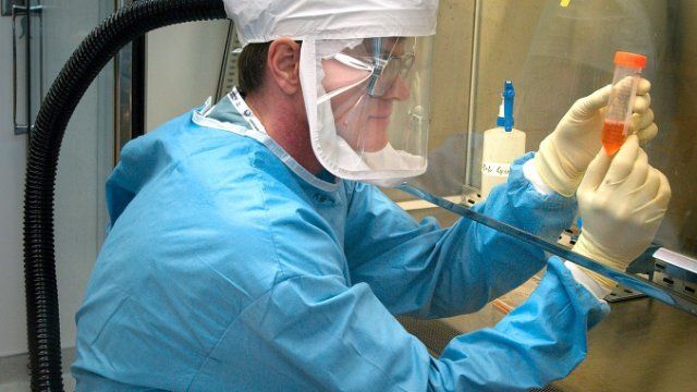 Mehr Virusinfektionen in Rheinland Pfalz
