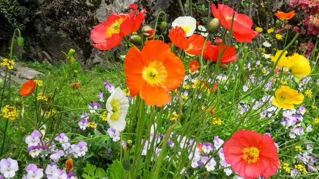 Die LAG Lahn-Taunus vergibt Fördermittel zur Stärkung des Ehrenamtes 