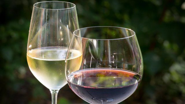 Weine für das 2. Koblenzer Weinfestival stehen fest