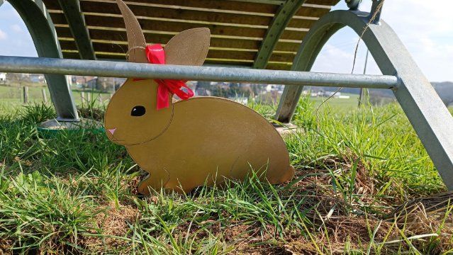 Goldener Osterhase in Krümmel gefunden