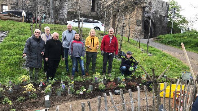 Ehrenamt: Neue Gruppe schützt Insekten