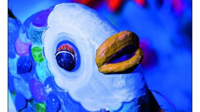 Teilen macht Spaß: Der Regenbogenfisch macht neue Erfahrungen